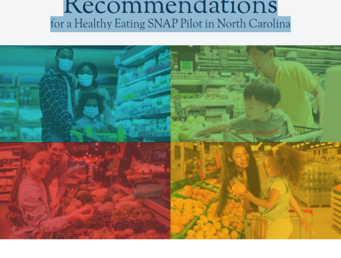 Recommendations for a Healthy Eating SNAP Pilot in North Carolina